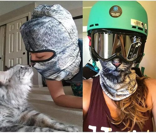 Cat ski mask with ears - ears, 3d