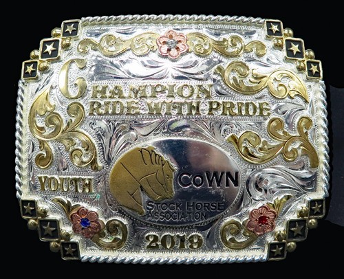 Cown stock horse association - stock,