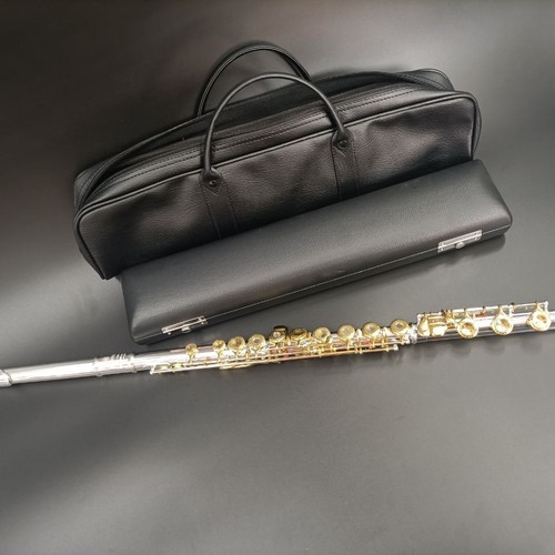 Hot sale flute 481 standard - sale,