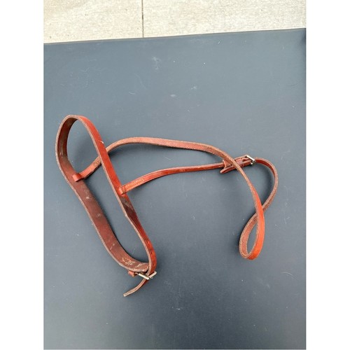 Vintage leather nose - nose, band