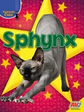 Sphynx, Sierra Wilson