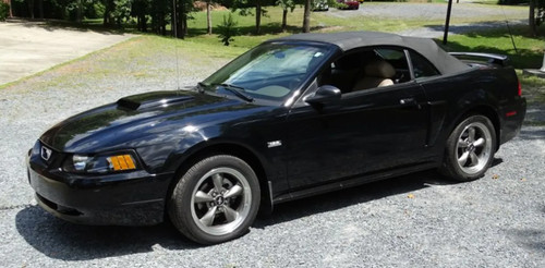 Ford mustang 100th anniversary - mustang,