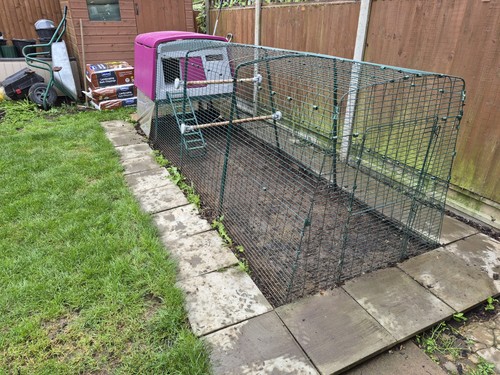 Egglu cube mk2 with autodoor - mk2,