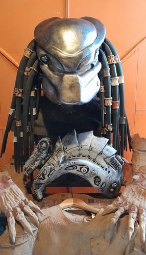 Predator jungle hunter - predator,