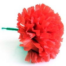 72 CARNATION PICK FLOWERS FUNERAL FLORIST TRIBUTE WEDDING CORSAGE PICKS FLOWER
