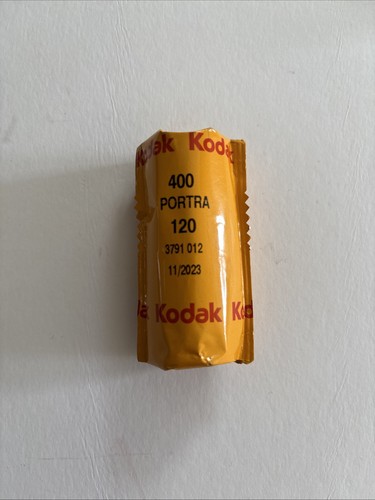 Kodak portra 400 medium format - 400,