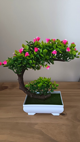 Artificial potted bonsai tree - artificial,
