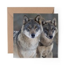 1 x Blank Greeting Card Wild