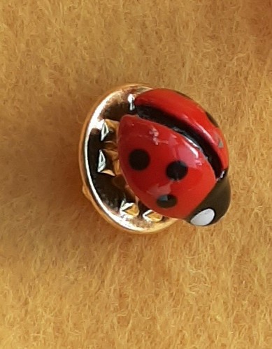 Little ladybird ladybug - ladybug, to