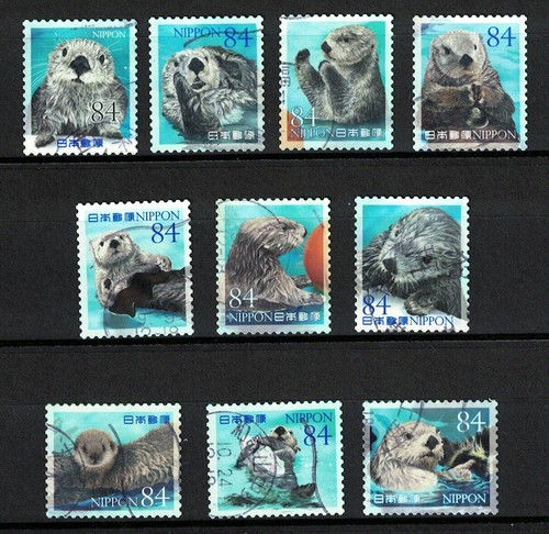 Japan 2022 marine life - part, 6