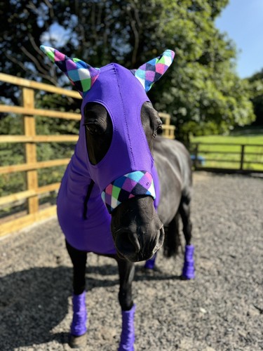 Bespoke purple lycra - purple, horse