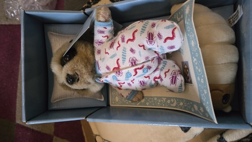 Baby oleg meerkat toy with - baby,
