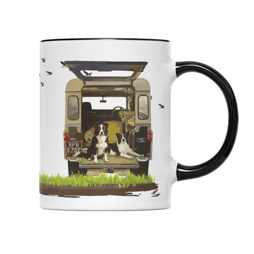 Border collie land - border, rover