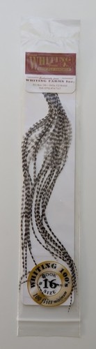Whiting 100s saddle hackle - whiting,