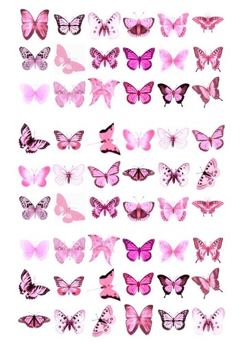 54x beautiful butterfly - 54x,