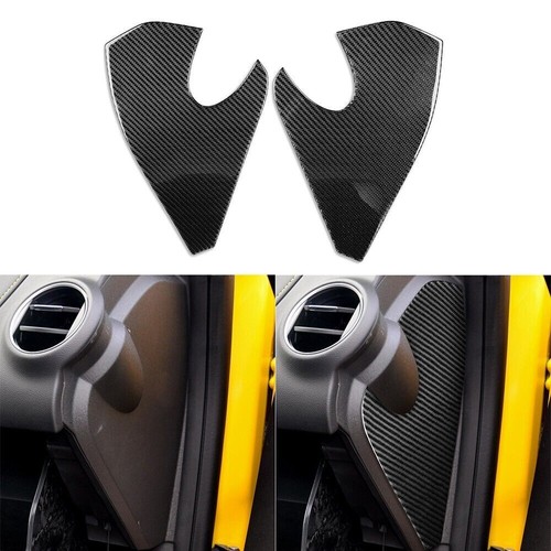 Real carbon front - carbon, door
