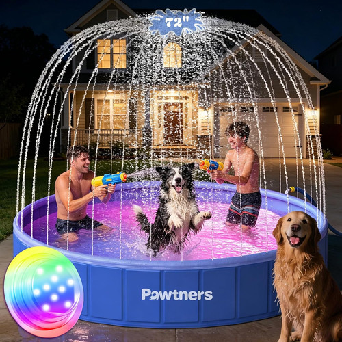 Foldable dog pool - dog, with