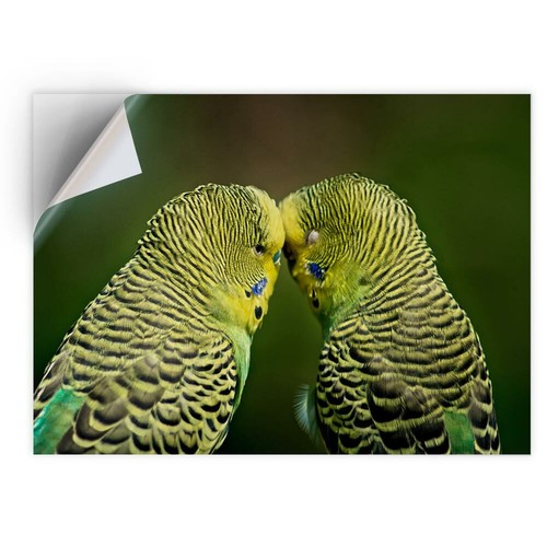 Vinyl sticker green - vinyl,