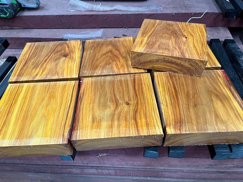 Canarywood 8 x 2 - 1,
