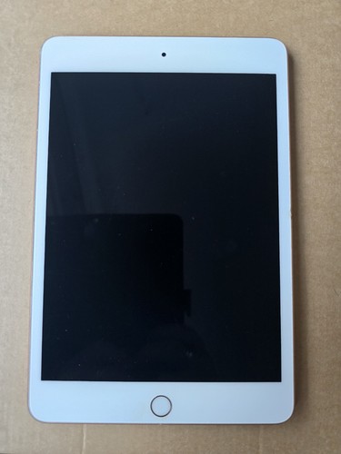 Apple ipad mini 5th generation - ipad,