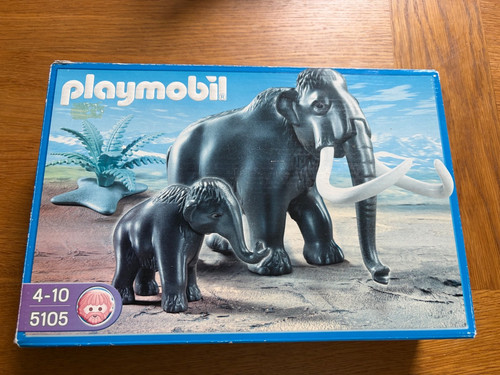 Playmobil 5105