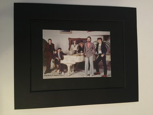 Roxy music mounted - roxy, picture