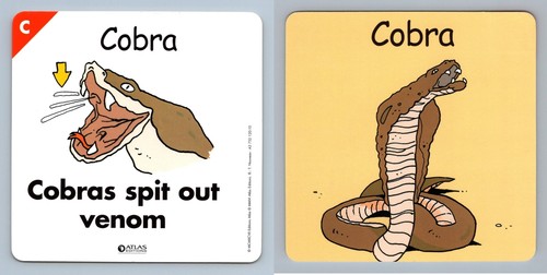 Cobra atlas editions - c,