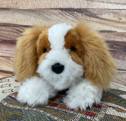 Keel cuddle puppies spaniel - puppies,