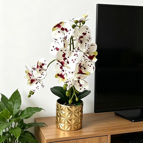 Phalaenopsis orchid replica - orchid, 12