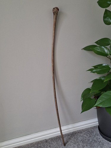 Root ball handle walking - walking, stick