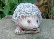 Large Hedgehog  - Garden