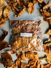 Dried crushed leaves - leaves, |