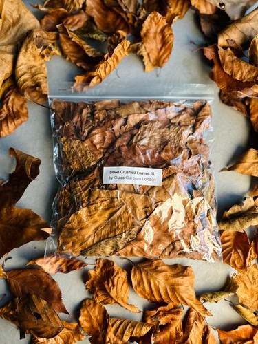 Dried crushed leaves - leaves, |