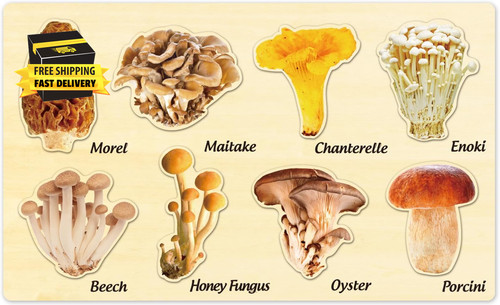 Jumbo wooden mushroom - jumbo,