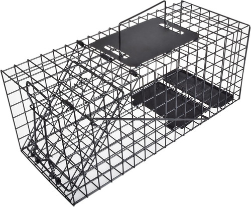 Live squirrel trap - squirrel, humane