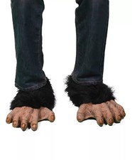 Primate Animal Beast Monkey