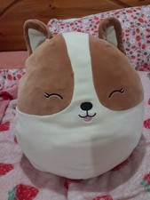 Squishmallow Regina the Corgi