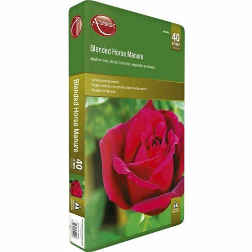 Ambassador blended horse - blended,