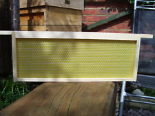 SN1 National/WBC Frames with