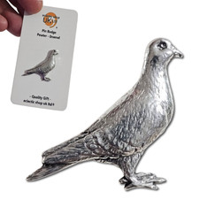 Racing pigeon pin badge pewter - racing,