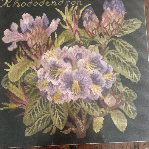 Elizabeth bradley rhododendron - elizabeth,