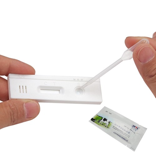 Pregnancy test equipment - pregnancy,