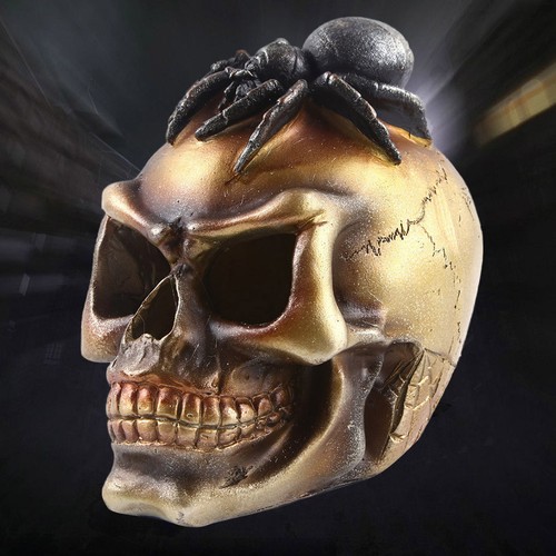 Scary skull head with spider - scary,