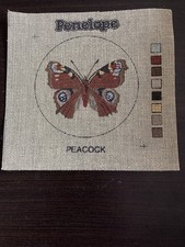 Penelope Peacock Butterfly