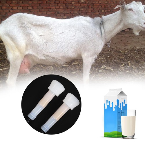 Goat sheep cow milking kit - 2l,