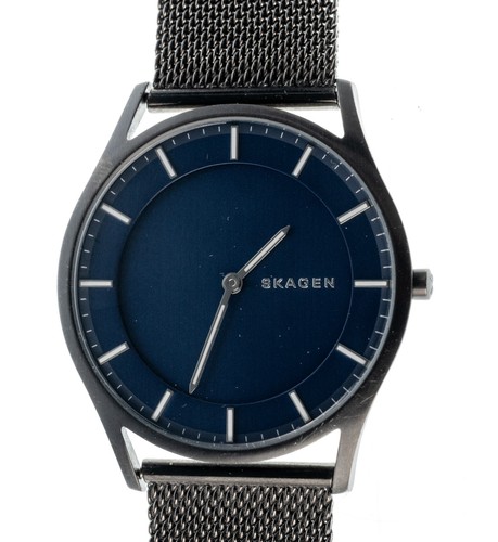 Skagen holst skw6223 stainless - skagen,
