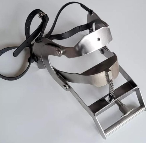 Equine dental millenium - dental,