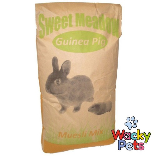 Guinea pig food feed - food, youngs