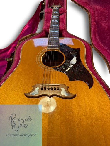 Gibson usa dove - gibson, acoustic