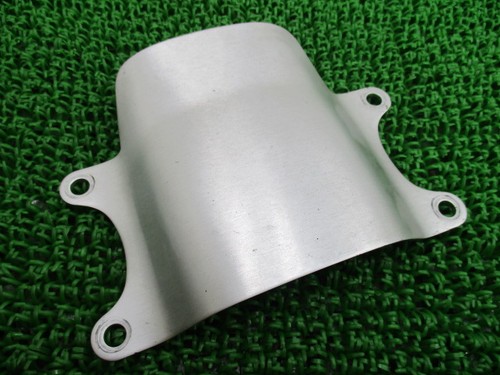 Genuine kawasaki zxt00a front - genuine,
